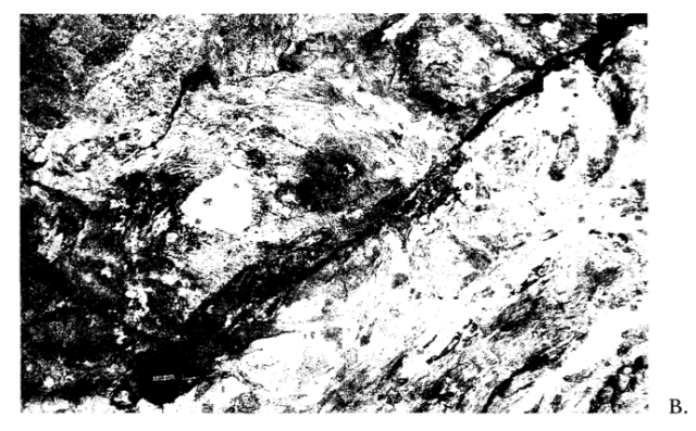 From Losh, S., 1989, Fluid-Rock Interaction in an Evolving Ductile Shear Zone and Across the Brittle-Ductile Transition, Central Pyrenees, France: American Journal of Science, v. 289, no. 5, p. 600–648.